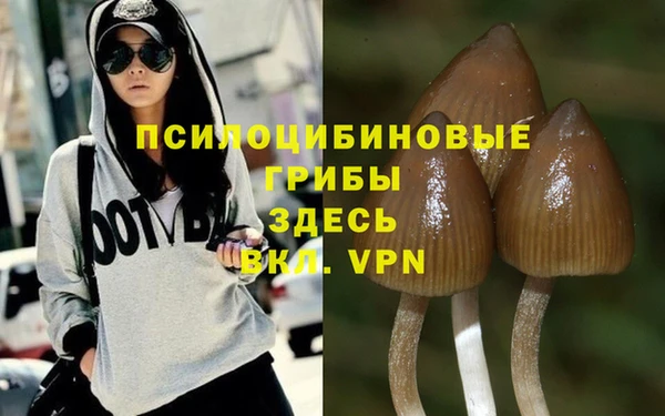 МДПВ Белоозёрский