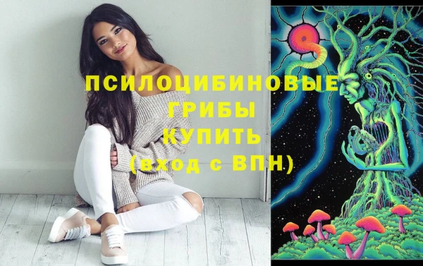 тгк Беломорск